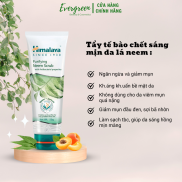 Tẩy tế bào chết sáng mịn da Himalaya Purifying Neem Scrub 100ml - Evergreen