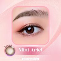 ?คอนแทคเลนส์✨ขนาดมินิ✨Brown✨ Mini Ariel ✨Wink