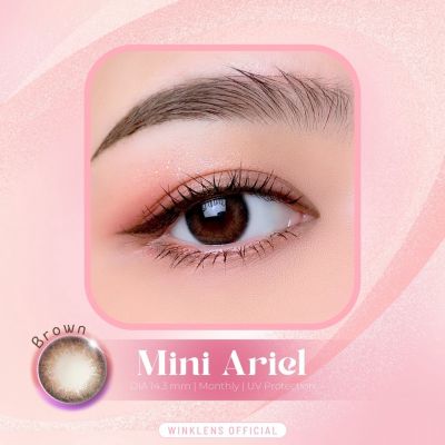 🔥คอนแทคเลนส์✨ขนาดมินิ✨Brown✨ Mini Ariel ✨Wink