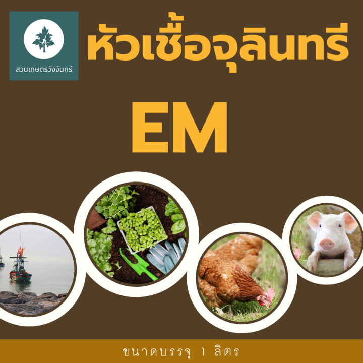 หัวเชื้อจุลินทรีย์-em-สวนเกษตรวังจันทร์-ขนาด-1-ลิตร