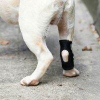 【cw】 Pet Knee Pads For Hind Leg Hock Joint Wrap Bandage Strap For Leg Ankle Injury Recover Protection ！