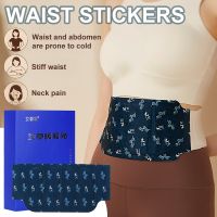 【CW】 4 Types Wormwood Pain Fatigue Relieving Stress Plaster Help Sticker Cold Patchs Outdoor