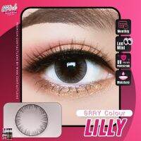 คอนแทคเลนส์ Wink Lens ลาย Lilly สีGray,Brown ส่งด่วน ส่งไว คอนแทคเลนส์แฟชั่นลาย บิ๊กอายตาโต bigeye คอนแทคเลนส์ Contactlens กรองแสง