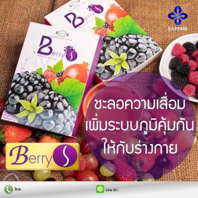 เบอร์รี่ เอส Berry S  ดีท็อกซ์ Detox ล้างสารพิษในร่างกาย