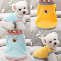 2023 New Fashion version Bear Labeled Dog Clothes Summer Thin Teddy Bichon Pomeranian Yorkshire Small Dog Pet Summer Vest