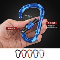 P259 Mountaineering Outdoor Climbing Safety Pear Type Main Lock