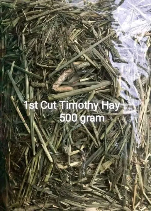 1st Cut Timothy Hay 500g | Lazada PH