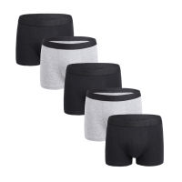 Hot Fashion Cotton Mens Panties Comfortable Men Boxer Underwear Set Man Underpants Boxershorts Hombre 5PCS