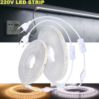 LED Strip Light 220V Flexible LED Tape SMD5050 60 LED Waterproof LED Ribbon with EU Switch Plug for Home Decoration Super Bright