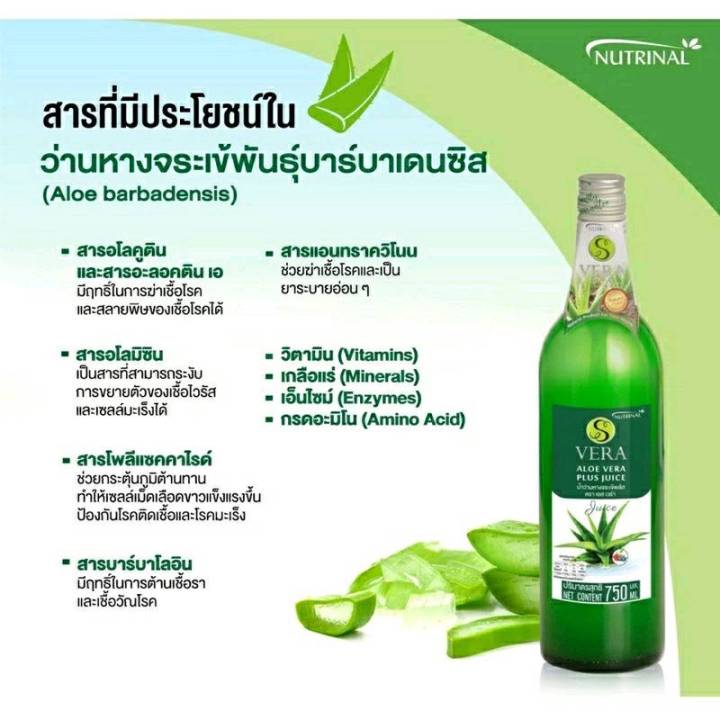 s-vera-plus-เอสเวร่า-พลัส-น้ำว่านหางจระเข้-ยับยั้งการขยายตัวของเซลล์มะเร็งเชื้อไวรัส-สร้างเม็ดเลือดขาว-สมานแผล