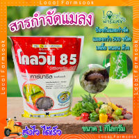 โกลวิน 85  ขนาด 1 กิโลกรัม  ? คาร์บาริล 85 % WP ยากำจัดแมลง เพลี้ย ยาฆ่าหนอน กำจัดหนอน ปลวก มด สำหรับ : พืชผัก ไม้ผล และไม้ดอกไม้ประดับทั่วไป