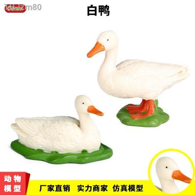 🎁 ของขวัญ Simulation model of animal duck solid static poultry mallard ducks childrens cognitive plastic toy furnishing articles