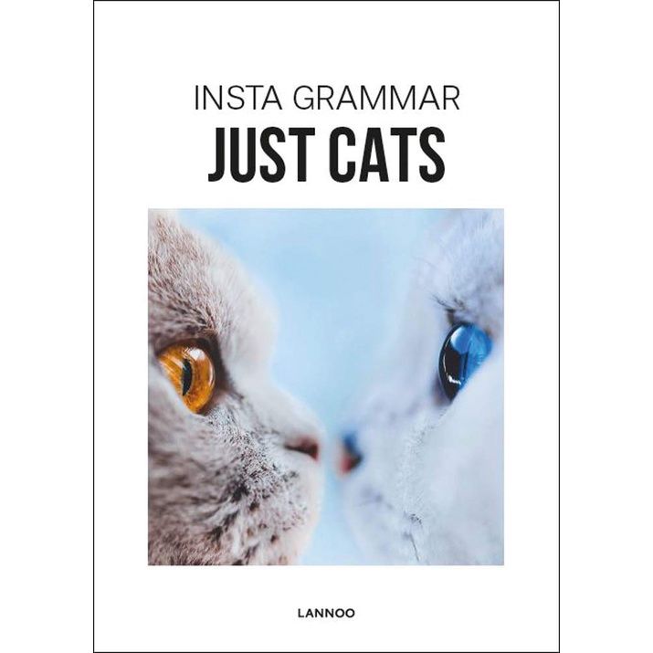 YES ! >>> พร้อมส่ง [New English Book] Insta Grammar: Just Cats