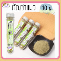 กัญชาแมว แบบละเอียด fine grind catnip [กชม]