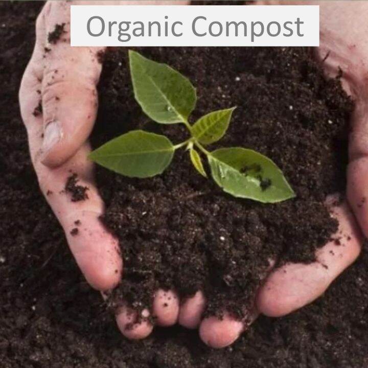 24 Litres Organic Compost Loosen Soil Improve Drainage Encourage Good