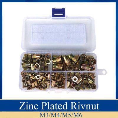 120pcs Zinc Plated Carbon Steel Knurled Nuts Rivnut Flat Head Threaded Rivet Insert Nutsert Cap Rivet Nut