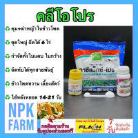 คลีโอโปร ( โทพรามีโซน+อะทราซีน ) ชุดใหญ่ 6 ไร่ คุม - ฆ่าหญ้าในข้าวโพด ฉีดทับทุกสายพันธุ์ ทั้งใบแคบและใบกว้าง หลังหยอด 2-3 อาทิตย์ npkplant