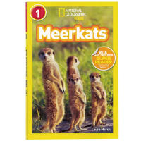Original English Picture Book National Geographic Kids Readers: meerkats National Geographic graded reading level 1 English Enlightenment picture book for young children