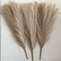 【LZ】✴♂  Pampas Grass Artificial Flower Decor Flor Falsa Home Decor Quarto Guia Do Casamento Acessórios De Decoração Do Casamento 45cm