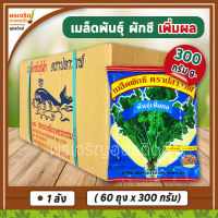 เมล็ดพันธุ์ผักชี ผักชีเพิ่มผล กอใหญ่ ขนาด 300 กรัม (ยกลัง 60 ถุง) เมล็ดผักชีปลาวาฬ เมล็ดพันธุ์ยกลัง ผักชีปลาวาฬยกลัง เมล็ดพันธุ์ตราปลาวาฬ