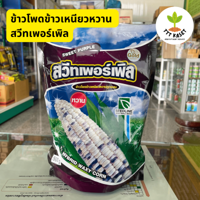 ข้าวโพดข้าวเหนียวหวานลูกผสม สวีทเพอร์เพิล (Sweet Purple) เมล็ดพันธุ์ข้าวโพด ซีดไลน์ TTT Kaset