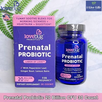 โปรไบโอติก โพรไบโอติก สำหรับคุณแม่ตั้งครรภ์  Prenatal Probiotic 20 Billion CFU 30 Count - LoveBug สตรีมีครรภ์ คนท้อง