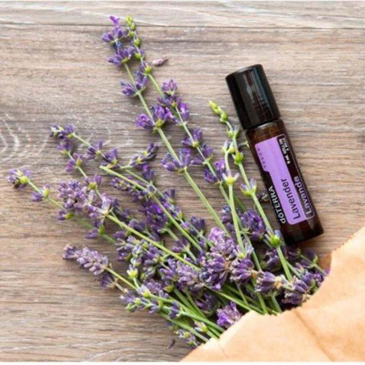 doTERRA Lavender Touch 10ml essential Oil[100% Authentic] [READY STOCK ...