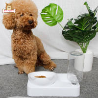 BP【Fast Delivery】Pet Automatic Water Dispenser 15 Degree Tilted Double Feeding Bowls Cat Dog Neck Guard Water Fountain อุปกรณ์ดื่มCOD【cod】