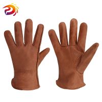 Leather Gloves Motorcycle / Driving Gardening Cycling Fruit Picking Safety By Dian Shang