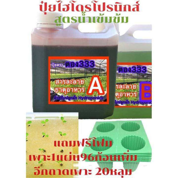 ปุ๋ยab-ไฮโดรโปรนิกส์สูตรเข้มข้ม-ขนาด-a1000ccb1000cc-ปุ๋ยไฮโดรโปนิกส์-ปุ๋ยab-ขนาด1ลิตร-ปุ๋ยน้ำ-ปุ๋ยเอบี-ปุ๋ยผักสลัด-ปุ๋ยผักhydroponics-สูตรปรับปรุงใหม่