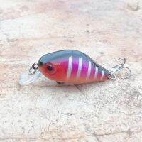 เหยื่อล่อปลาลอยน้ำขนาด5.5ซม. 9กรัมตัวล่อปลาแท็กเกิล Crankbait ญี่ปุ่นเหยื่อเเข็งปลอม