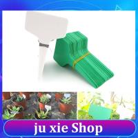 JuXie store 100pcs Plant Tag T Type Plant Markers Label Nursery Pots GardenTool  for Plant Flower Pot Vegetable Tray Sign Card