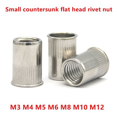 Flat head Threaded Rivet nut M3 M4 M5 M6 M8 M10 M12 304 Stainless Steel Rivnut Small Countersunk Head Riveted Nuts Cap Rivet Nut