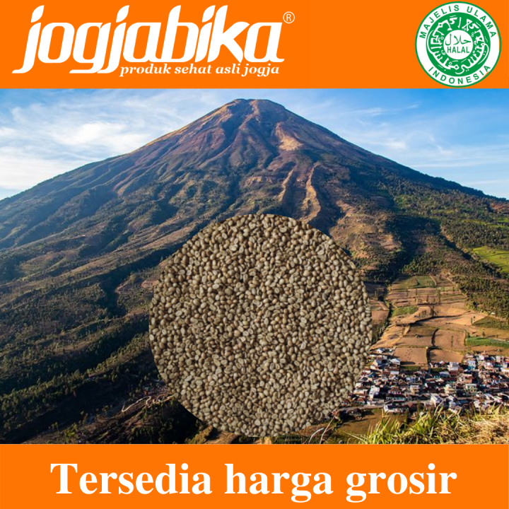 Kopi Robusta Jawa Temanggung Biji Mentah Green Bean Asli Jogja 1 Kg