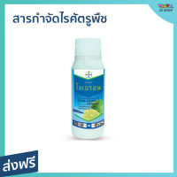 ?ขายดี? สารกำจัดไรศัตรูพืช โอเบรอน Bayer ขนาด 500 มล. กำจัดไร เพลี้ยไฟ สไปโรมีซิเฟน Spiromesifen - ยากำจัดเชื้อรา ยาฆ่าไรแดง ยาไรแดง ยาโอเบรอน ยากำจัดไรแดง กำจัดไรแดง Oberon