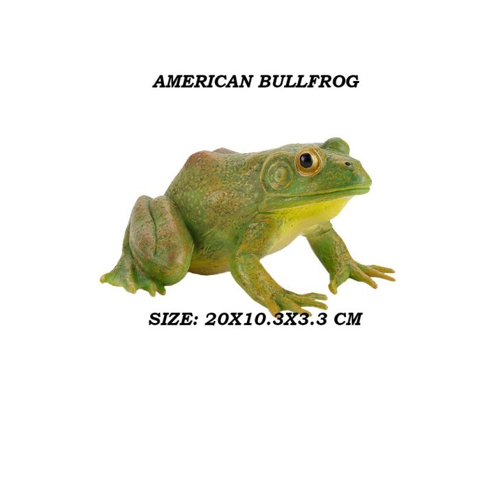 zzooi-realistic-wild-amphibian-action-figures-treefrog-bullfrog-toadfrog-plastic-frog-model-toy-cognitive-ornament-toys-gift-for-kids