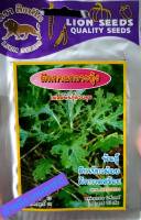 เมล็ดพันธุ์ ผักกาด เขียวน้อย ผักกาดสร้อย?หมดอายุ01/01/2567?บรรจุประมาณ10กรัม ปลูกง่าย งอกดีมาก กินกับป่นแซบคัก