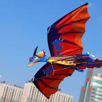 9KM DWLIFE KITE-Upgrade Classical Dragon Kite Single Line Stereoscopic Dragon Kites Easy to Fly（with Tail + Line + Manual）