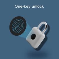 Smart Fingerprint Padlock Quick Unlock Keyless USB Rechargeable Travel Case Drawer Portable Anti Theft Safety Lock Free Shipping