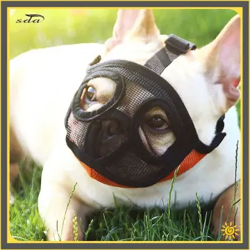 Muzzle for best sale pug nosed breeds