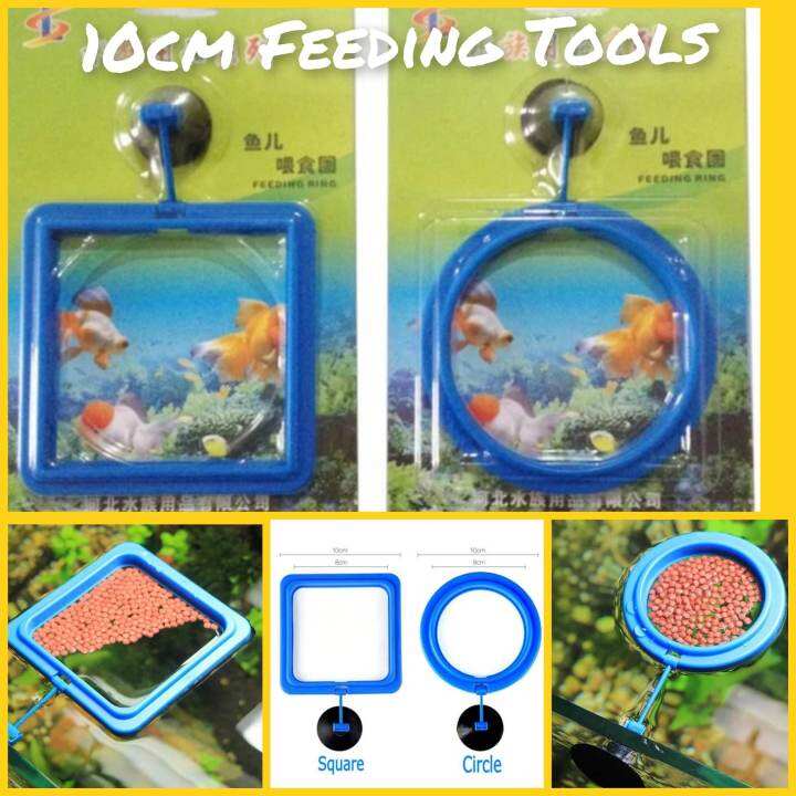 10cm Floating Fish Feeder Lazada PH