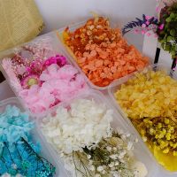 Mixed Eternal Dried Flower Materials Gypsophil Hydrangea Lover Grass For Wedding Invitation Gift Card Scented Candle Decoration