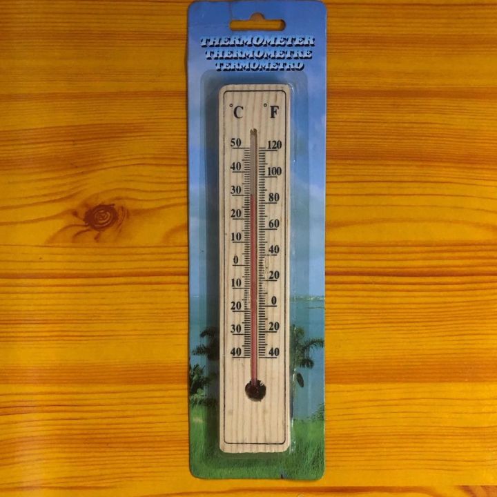 Indoor Outdoor Wall Thermometer - Garden House Garage House Office Room