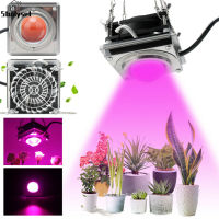 Studyset IN stock 3000w Cob Led Grow Light With Fan Plant Hydroponic Flower Vegetable Full Spectrum Lamp