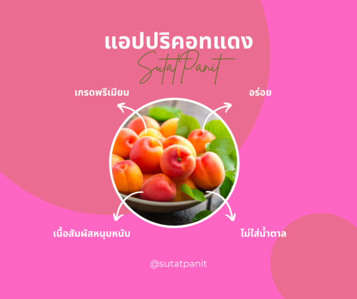 แอปปริคอทแดง-อบแห้ง-500-กรัม-ตรา-hola-by-สุทัศน์พานิช-แอปปริคอทตุรกี-ลูกพีช-ลูกท้อ-อบแห้ง