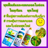 กระตุ้นยอดใบอ่อนทุเรียน ชุดใหญ่ ปุ๋ยทุเรียน  สาหร่ายเขียว ไดมาร์ 1ลิตร+ สังกะสี ซิงค์ 1ลิตร+ปุ๋ยเกล็ด 30-20-10 1กก. ฟื้นต้นหลังเก็บเกี่ยว