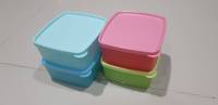 Tupperware กล่องเหมันต์เล็ก(4)