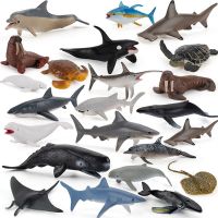 1PC Simulation Marine Sea Life Whale Figurine Shark Cachalot Action Figure Ocean Animal Model Dolphin Hammerhead Educational Toy