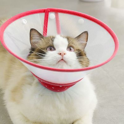 [HOT!] Cat Cone Elizabethan Collar Protective Cat Recovery Collar Adjustable Pet Cone for Kitten Puppy Rabbit Small Dogs After Surgery