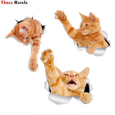 [24 Home Accessories] สาม Ratels FTC 1097 3D ถึงขิงแมวสติกเกอร์สำหรับรถกันชนสติกเกอร์รูปลอกสำหรับห้องน้ำตู้เย็นห้องครัว Cabient หน้าต่าง